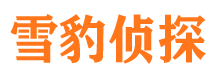 宿城市私家侦探